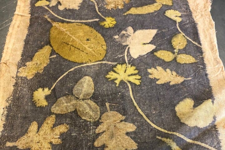 Ecoprint internship