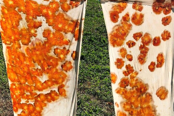 Advanced ecoprint course