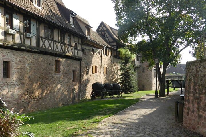 The Emblematic: visit of villages, Haut-Koenigsbourg, Wine tasting