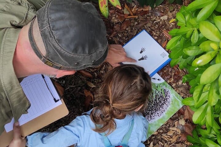Wild animal treasure hunt