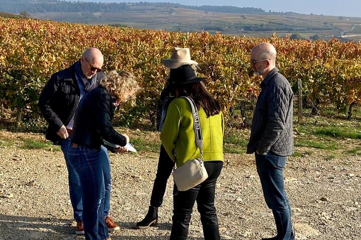 Discover the complexity of the Burgundy terroir
