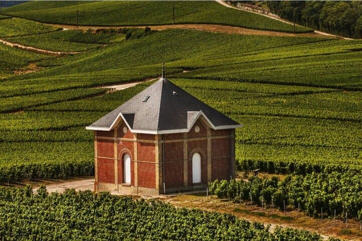 Private 10 hours Tour to the Champagne Wineries from Paris