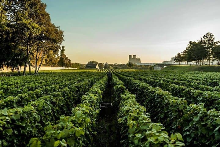 Private 10 hours Tour to the Champagne Wineries from Paris