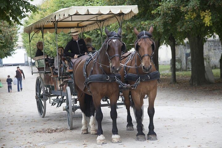 Tour of Chateaux of Fontainebleau and Vaux le Vicomte from Paris