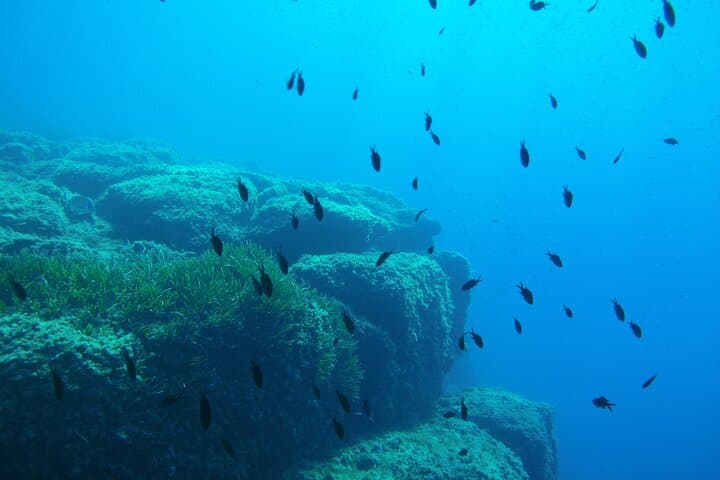 Half Day Snorkeling & Diving in Nice