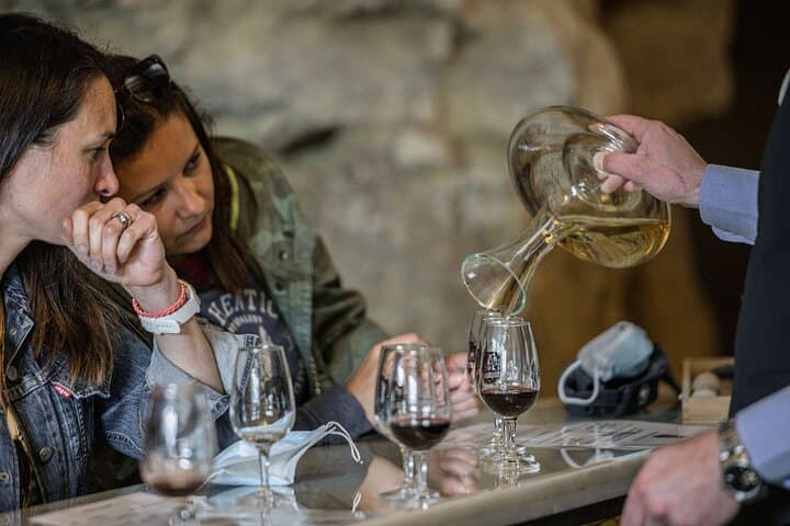 Loire Valley Wines Private Day Tour with Tastings from Tours or Amboise