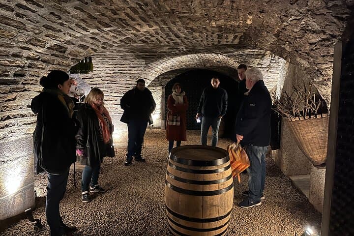 Burgundy Cote de Beaune Private Day Tour with Tastings from Beaune or Dijon