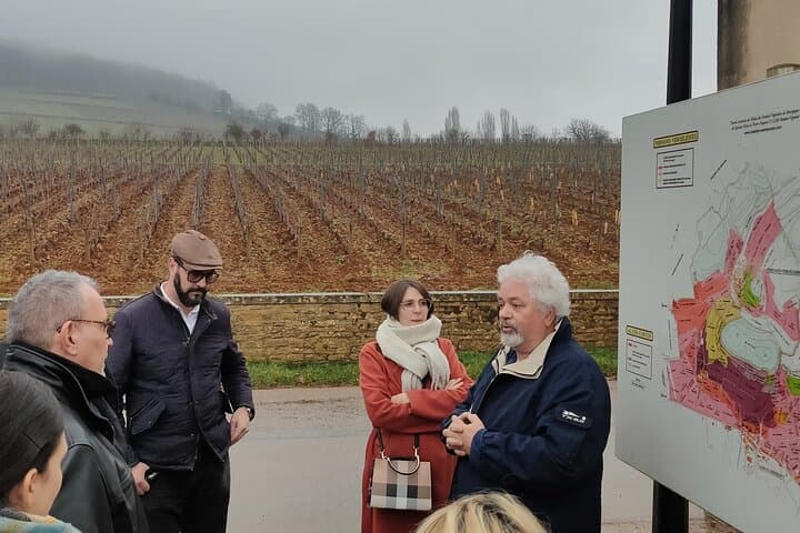 Burgundy Cote de Beaune Private Day Tour with Tastings from Beaune or Dijon