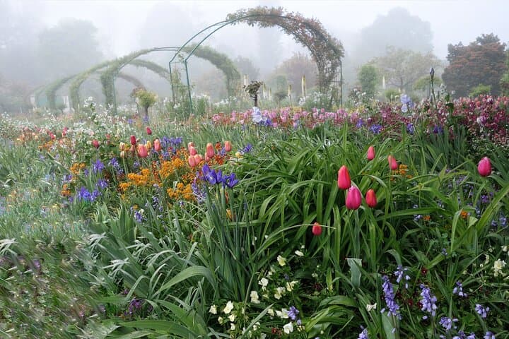 Private Tour in Giverny, Seine with Wine Tasting