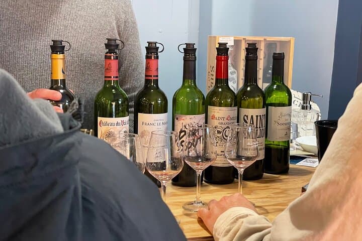 From Bordeaux Vineyard Tour in Saint Emilion Half Day