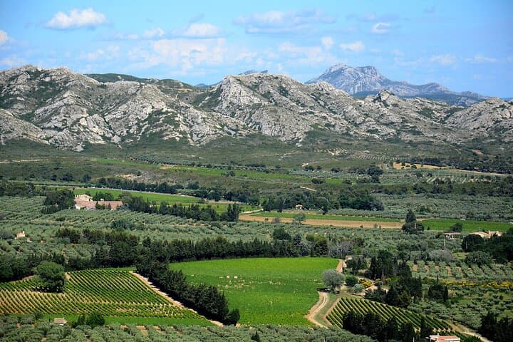 Wine, Olive Oil and Scenic Villages of Provence