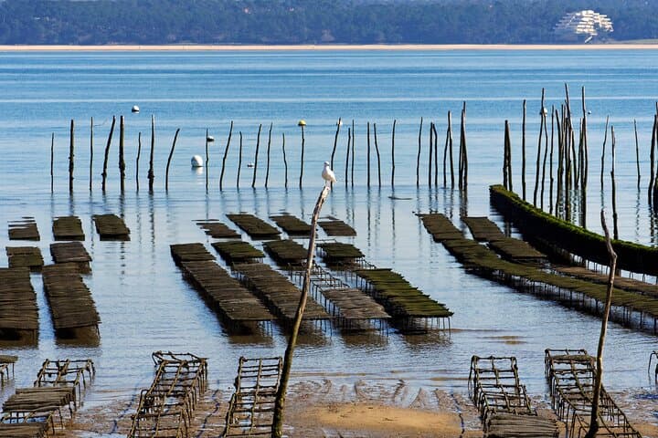 Private Arcachon Full-Day tour, from Bordeaux