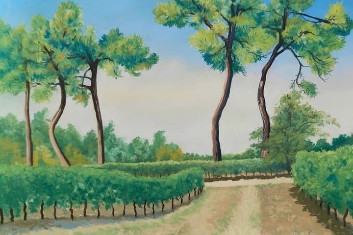 Vignes, Domaine de Monplaisir, pastel