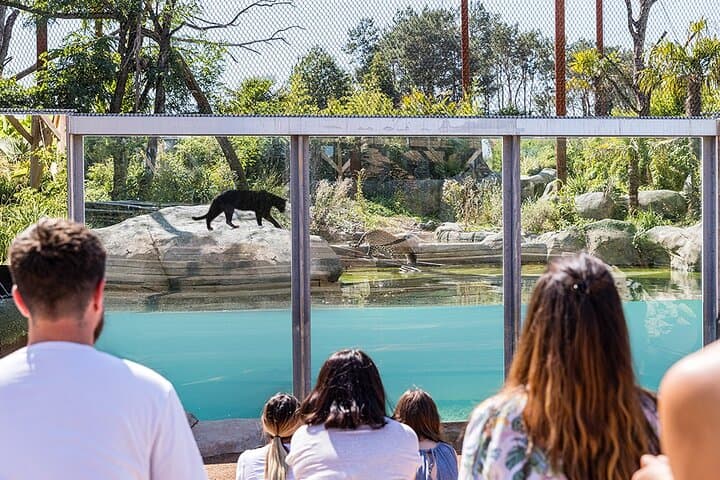 Parrot World Immersive Wildlife Park Entry Ticket next to Paris