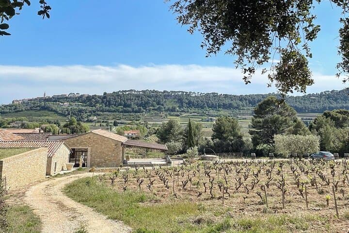 Cellar Visit & Bandol Wine Tasting (in French)