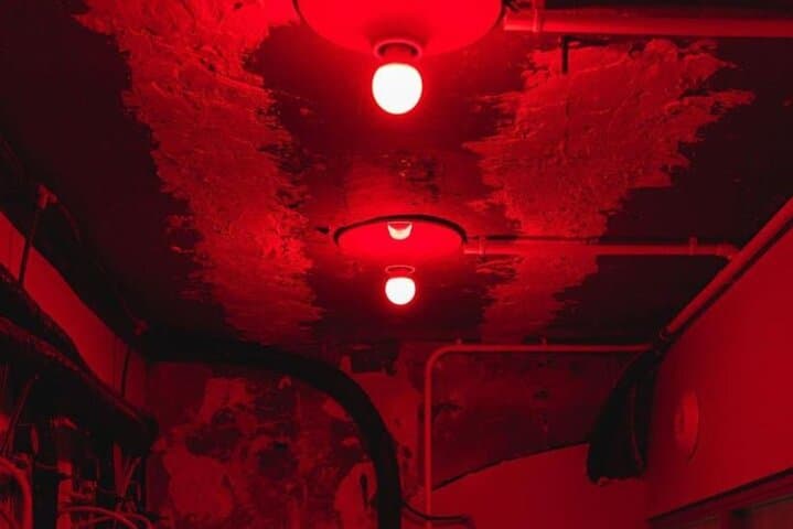 Paris Speakeasy: A Night to Meet, Connect & Explore secret Bars