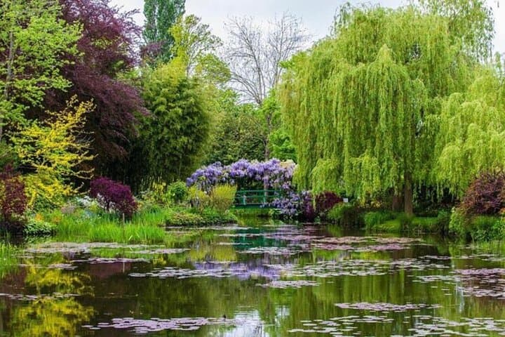The Water Garden