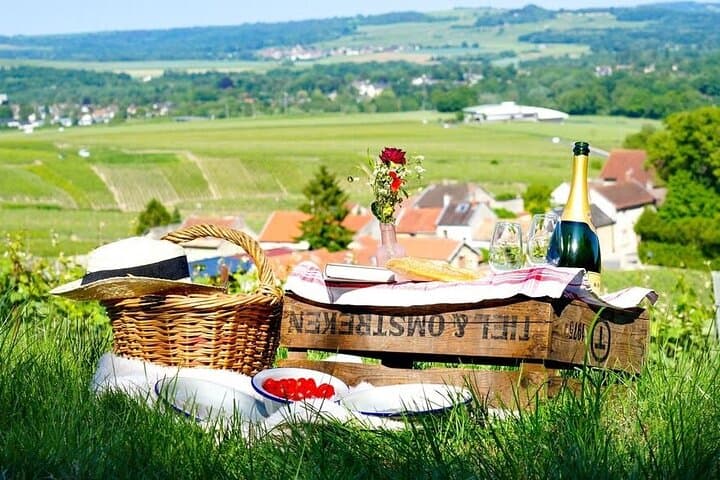 Picnic in the vineyards