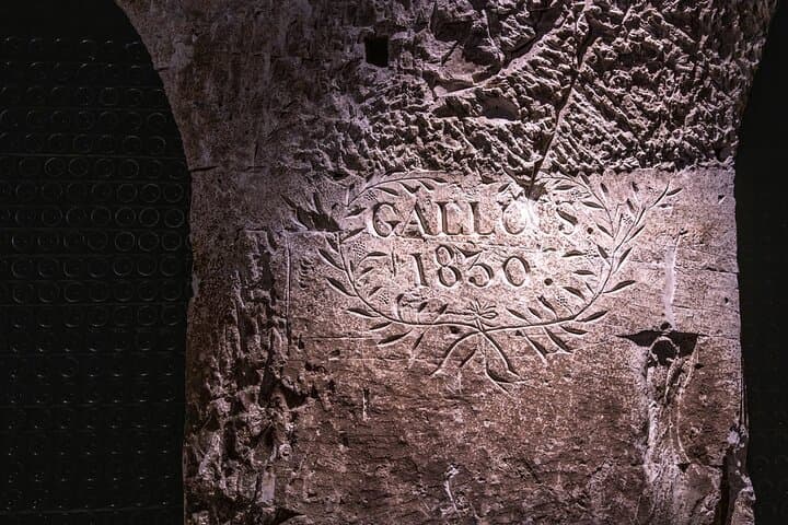 Learn the history of champagne and immerse yourself in the place