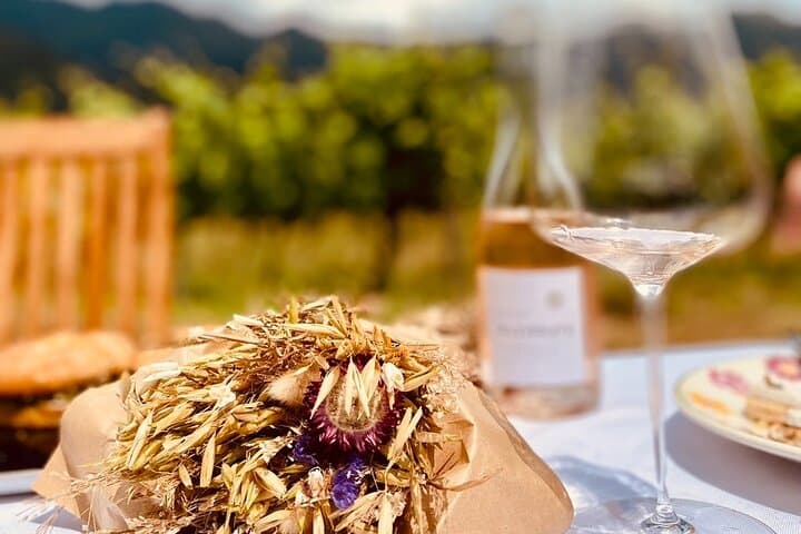 Corsican Wine Tour & Picnic in Calvi