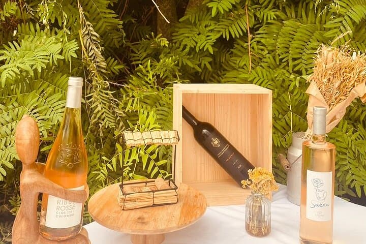 Corsican Wine Tour & Picnic in Calvi