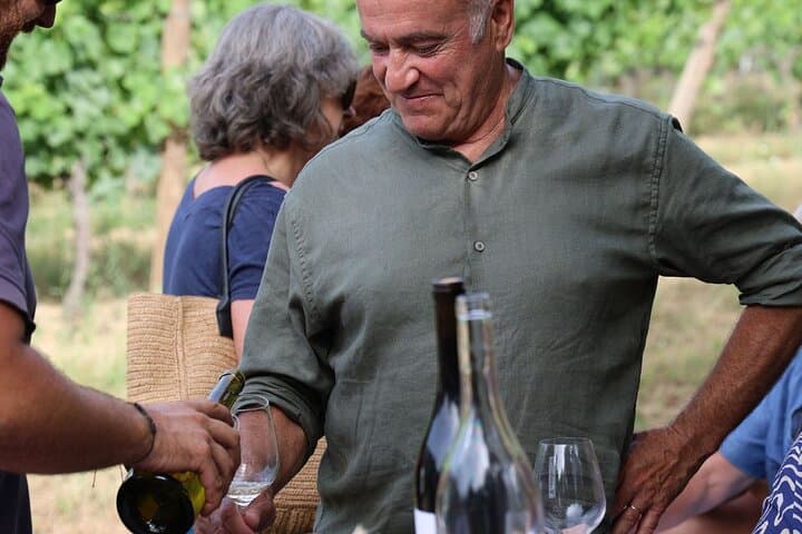 Corsican Wine Tour & Picnic in Calvi