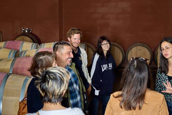 Half-Day Wine Tour in Margaux