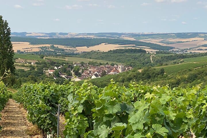 See the best of north Burgundy, we show you the best