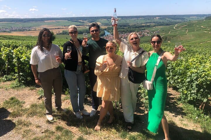 Make a stop in the vineyard
