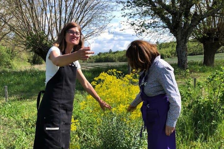 Picking from the garden