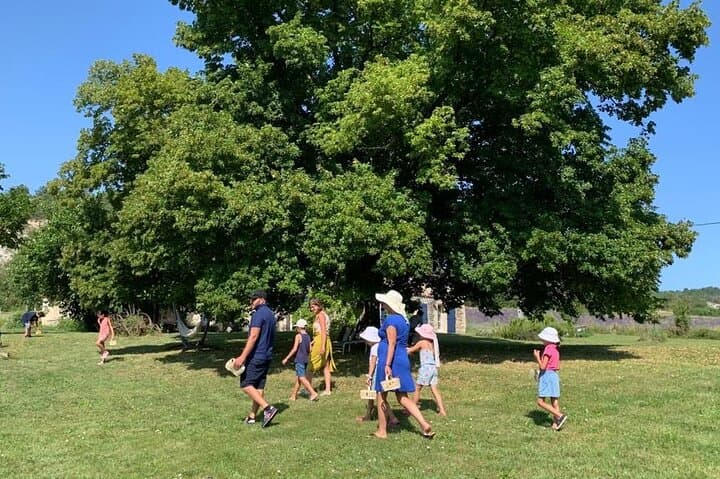 Family workshop