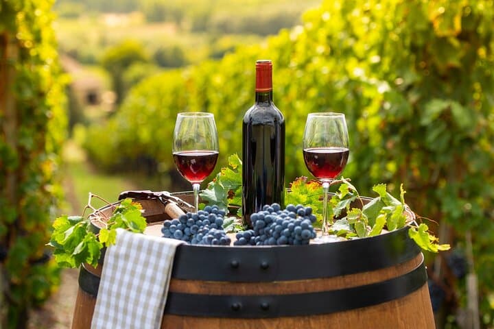 Private Full-Day Wine Heritage Tour from Strasbourg in Alsace