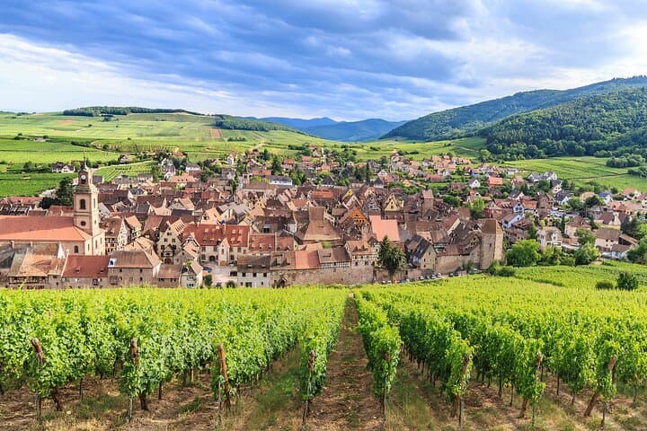 Private Full-Day Wine Heritage Tour from Strasbourg in Alsace