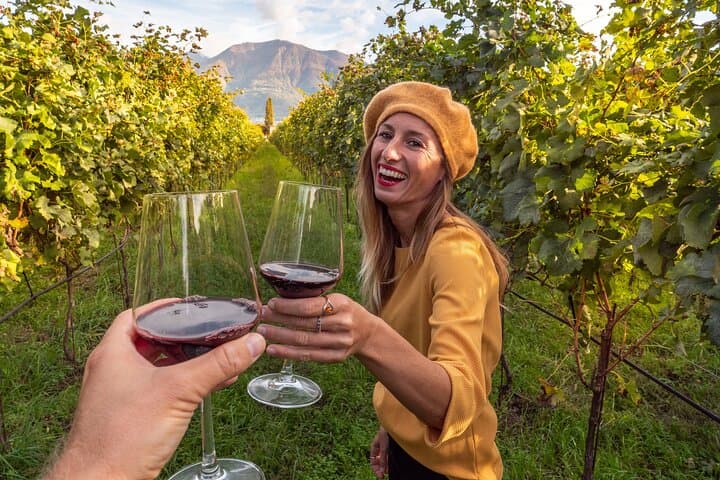 Private Full-Day Wine Heritage Tour from Strasbourg in Alsace