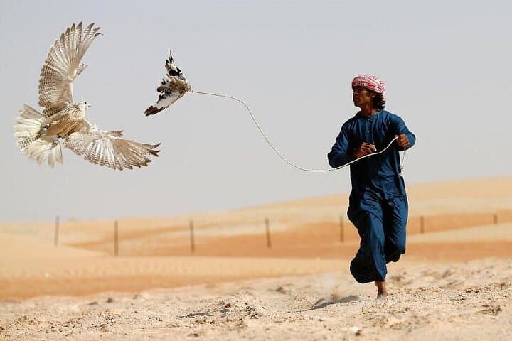 Half-Day Dubai Dunes Desert Safari Experience