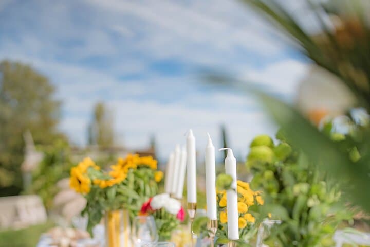 Dinner in the Vineyard French Riviera