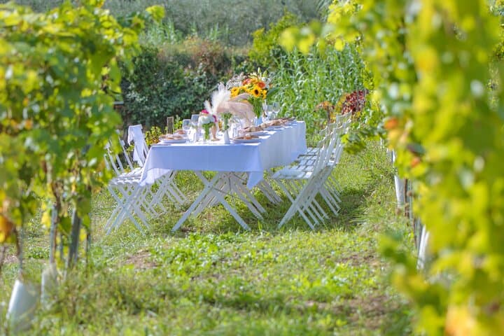 Dinner in the Vineyard French Riviera