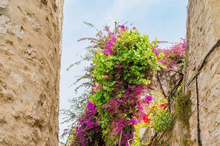Private tour in Provence: Saint-Tropez & Grimaud Medieval Village