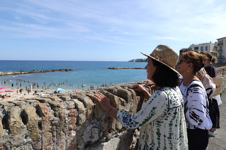 Cannes and Antibes Afternoon tour from Nice