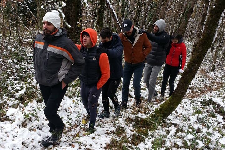 Meditative walk in the forest