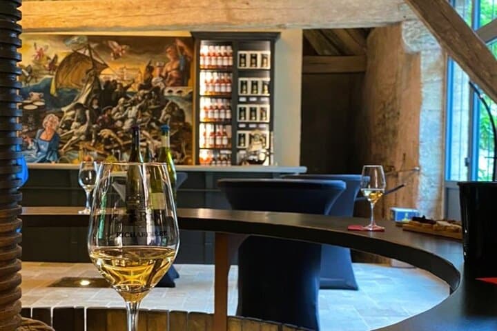 Loire Valley from Amboise : Azay le Rideau, Villandry, 2 Wineries