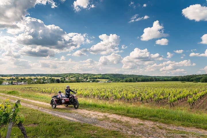 Private Half-Day Tour Check-out from Tours