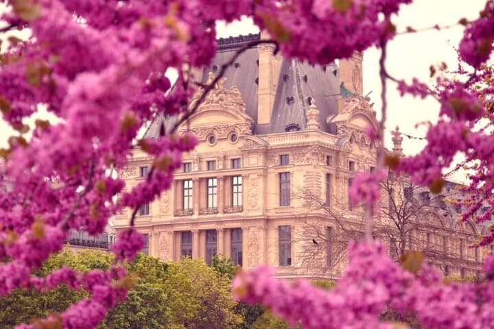 Louvre (no ticket) & Big Paris City Walking Tour with Audioguide