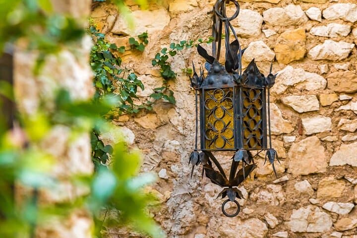 Provencal Market and Wine Tasting Full-Day Shared Tour from Nice