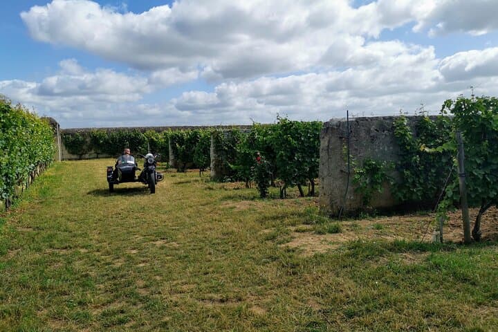 Private Half Day Tour Check-out from Saumur