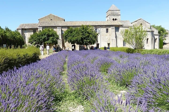 Saint-Paul de Mausole, Saint-Rémy de Provence during lavender flowering.