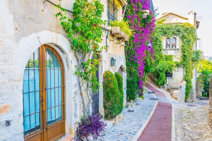 Provence and its Medieval Villages from Nice Full-Day Shared Tour