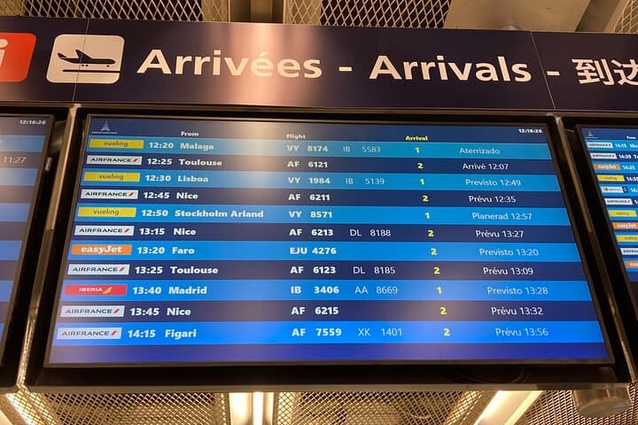 Private Transfer from Roissy CDG Airport to Disneyland Paris