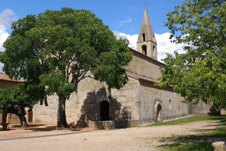 Churches of Provence and French Countryside Private Tour