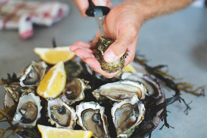 Gujan-Mestras and oysters